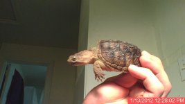 120113-122802.jpg