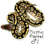 mystic-pastels-2-11003.jpg