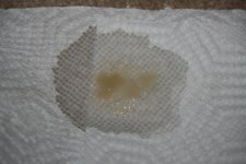 Boogs 001.jpg