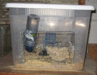 mousetub1.jpg