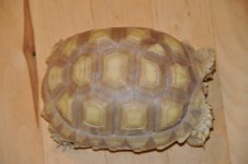 DSC_0014.jpg