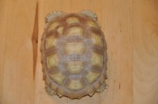 DSC_0015.jpg