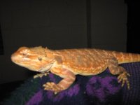IMG_5462.JPG