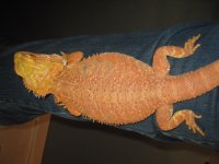IMG_8757.JPG