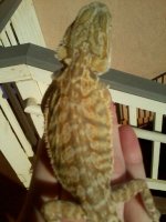 Picture 021.jpg