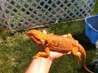 IMG_1993.jpg