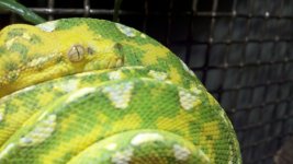 2011-08-31_22-32-00_922[1].jpg