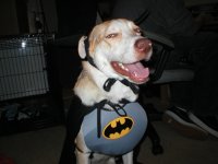 Batman.jpg