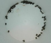 DSCN3720.JPG