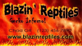 Blazin'BCsmall.jpg