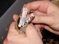 Picture 182.jpg