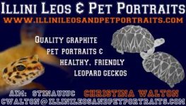 business-card-web.jpg