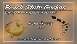 PeachState1small.jpg