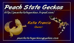 PeachState2small.jpg