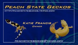 PeachState4small.jpg