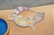 ! 5-6 male macks_edited-1.jpg