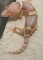 DSCF1662.JPG