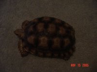 DSC00658.JPG