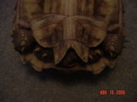 DSC00659.JPG