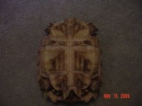 DSC00660.JPG