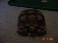 DSC00661.JPG