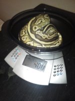 IMG_20111016_142334.jpg