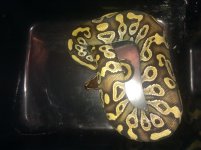 IMG_20120118_204524.jpg