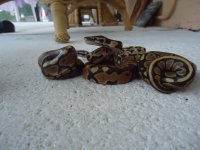 aug. 2011 092.jpg