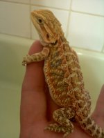 20120101081530.jpg