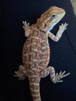 20120102170010.jpg