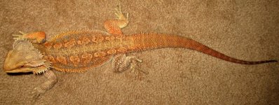 IMG_1562.jpg