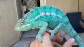 2011-09-23_13-35-58_421[1].jpg