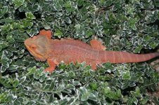20100719_4540.jpg
