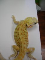 dscn0546.jpg
