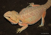 # A 9-25 Fabiola 018_edited-1.jpg