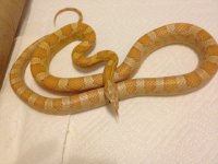 IMG_0087.jpg