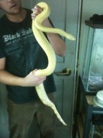 iphone pics 151.jpg
