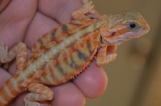 DSC_4269.jpg