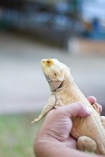 IMG_8514.jpg