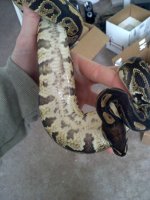 20120123093252.jpg