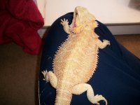 Chevy 19mths (12).jpg
