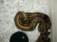 IMG_20111003_113918.jpg