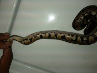 IMG_20111010_231823.jpg