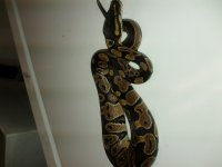 IMG_20111010_231900.jpg