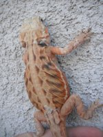 DSCF6245.jpg