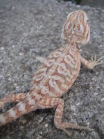 DSCF6272.jpg