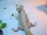 100_3037.jpg