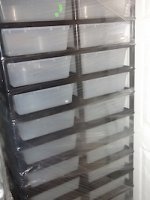 250w-2.jpg