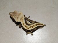 7210047_orig.jpg