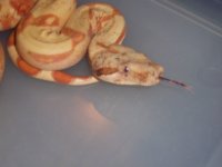 100_1376.jpg